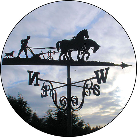 Commissions from photographs weathervanes