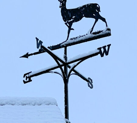 Roe Deer Weathervane Installed In The Snow