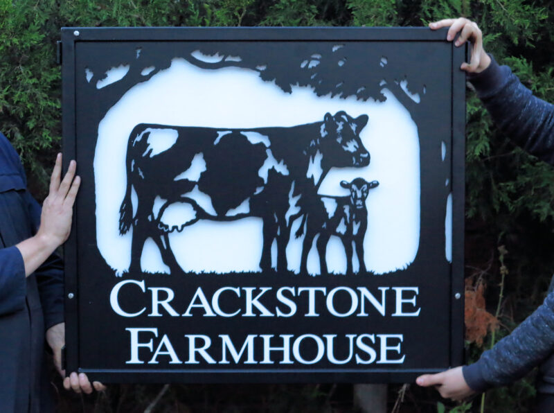 Dairy Cow and Calf Framed Picture Sign - with white backing sheet