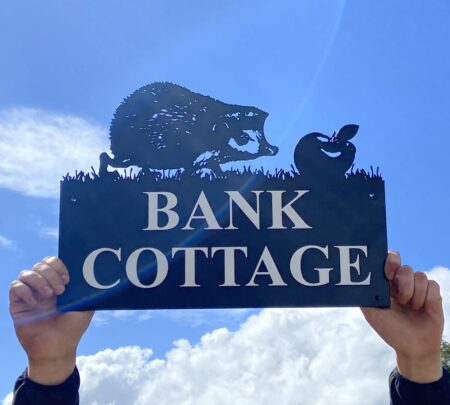 Hedgehog & apple Wall Art Plaque