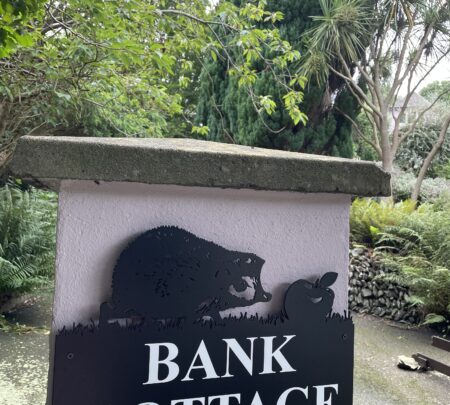 Hedgehog & apple Wall Art Plaque - Installed