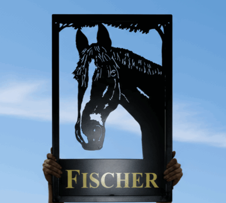 Horse Head Close-Up Framed Metal Sign