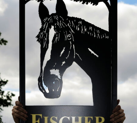 Horse Head Close-Up Framed Picture Sign