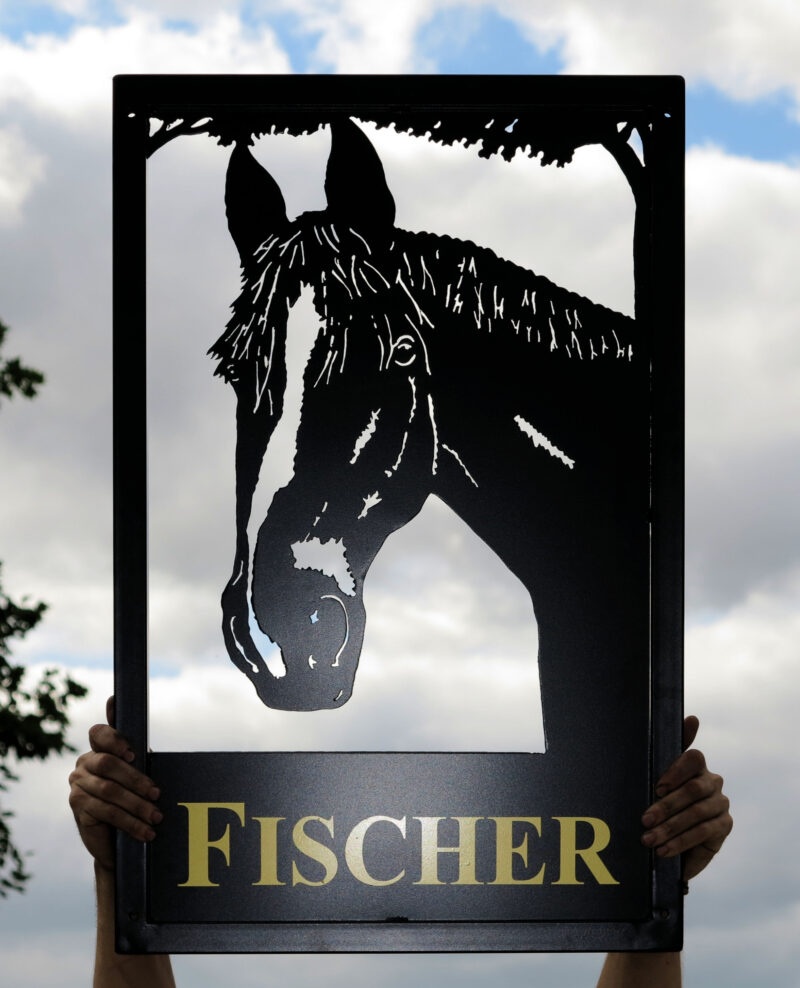 Horse Head Close-Up Framed Picture Sign