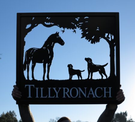 Horse and Two Dogs Framed Picture Sign