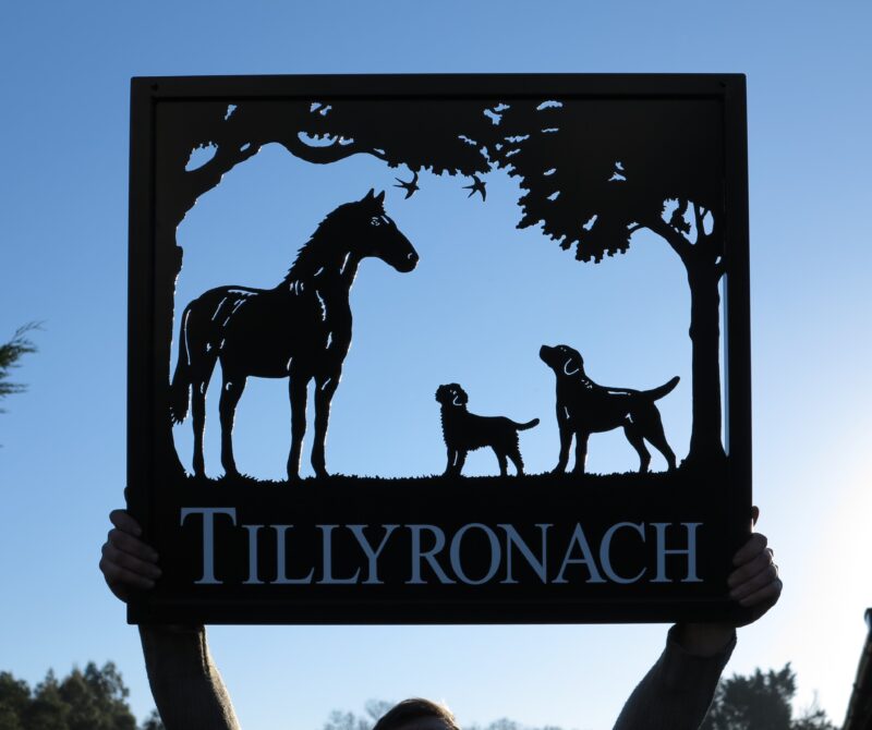 Horse and Two Dogs Framed Picture Sign