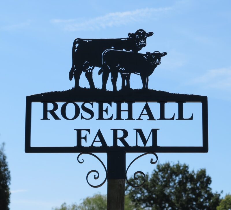 Limousin Cow and Calf Hot Forged Picture Farm Sign