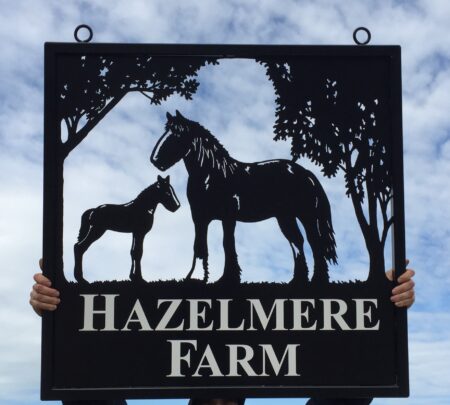 Mare and Foal framed picture sign