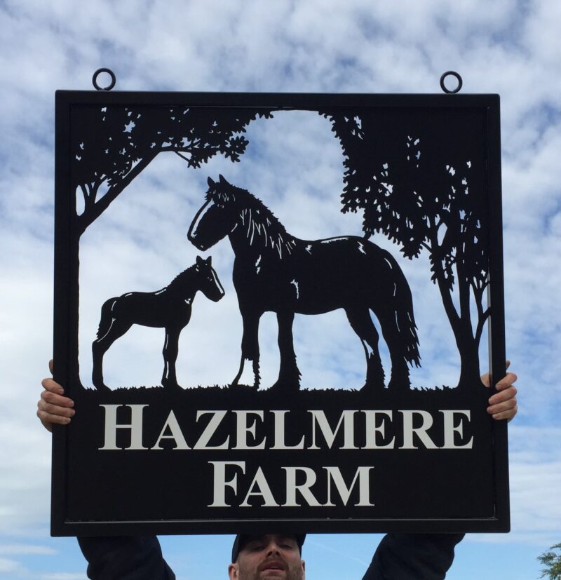 Mare and Foal framed picture sign