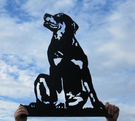 Sitting Rottweiler Dog Wall Art