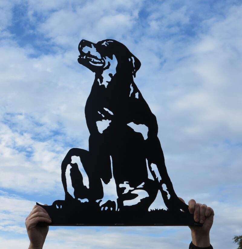 Sitting Rottweiler Dog Wall Art