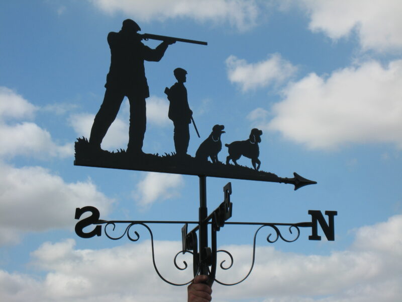 Grandfather, grandson and dogs shooting weathervane