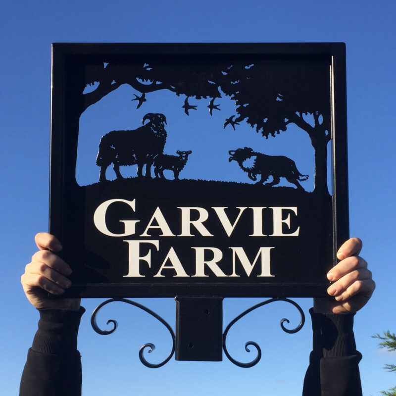 Sheep Lamb Collie and Swallows Framed Sign