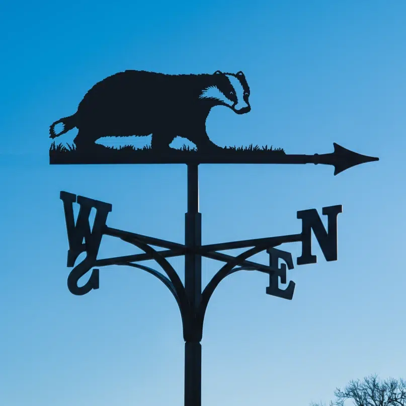 Badger Weathervane