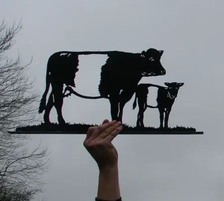 Belted Galloway and Calf Wall Art Plaque