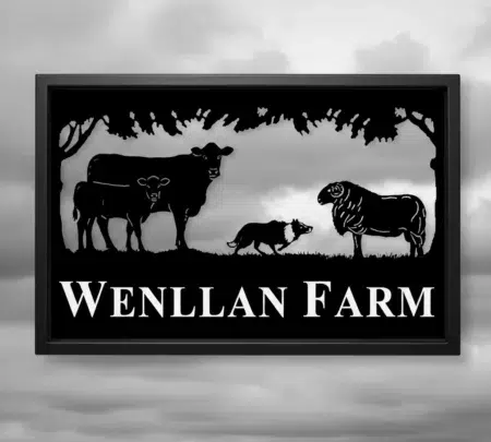 Limousin Cow and Calf with Talybont Ram Tup and Collie