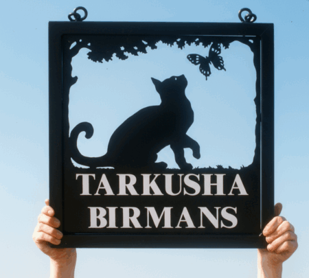 Sitting Cat with Butterfly Framed Metal Sign