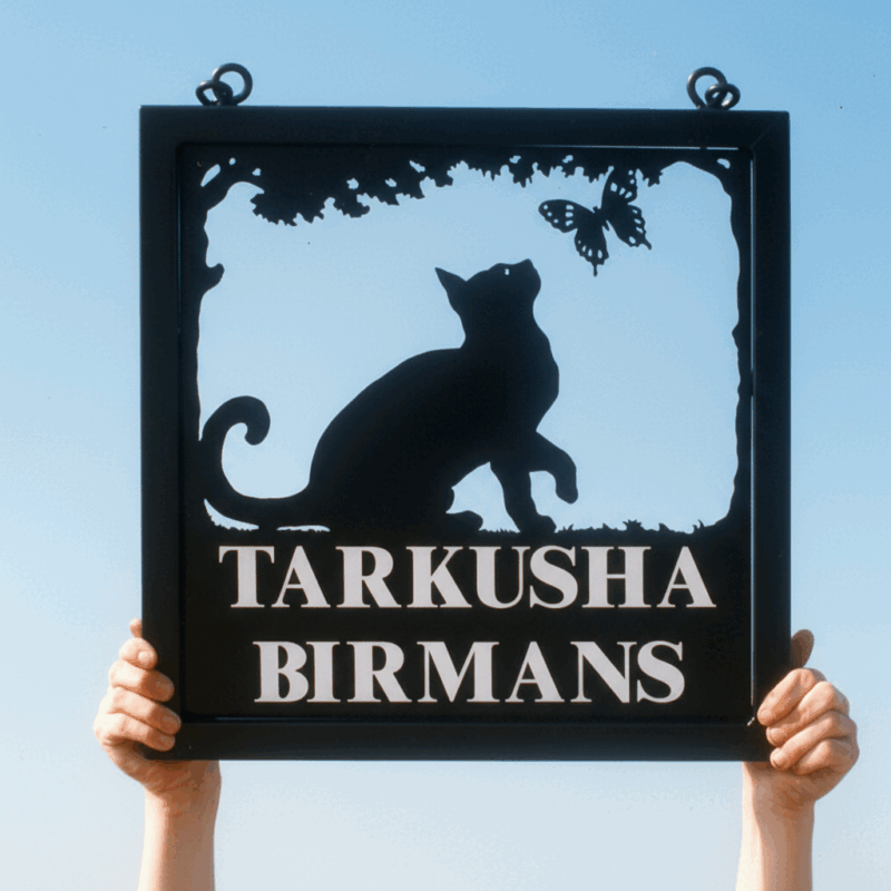 Sitting Cat with Butterfly Framed Metal Sign