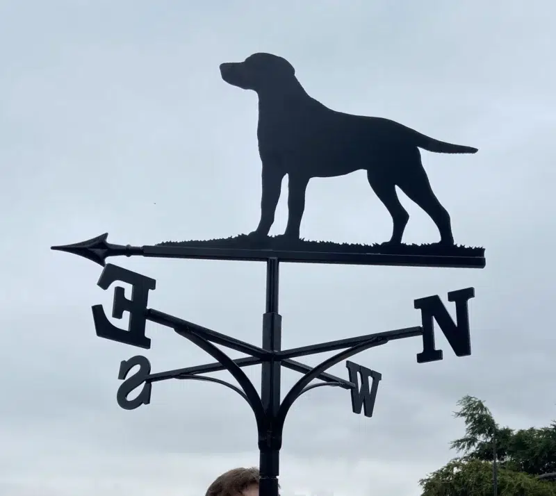 Labrador Weathervane