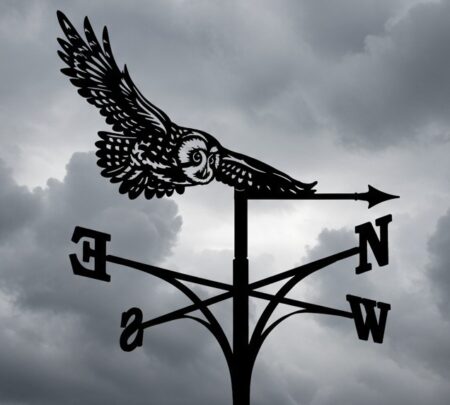 Flying Owl Weathervane