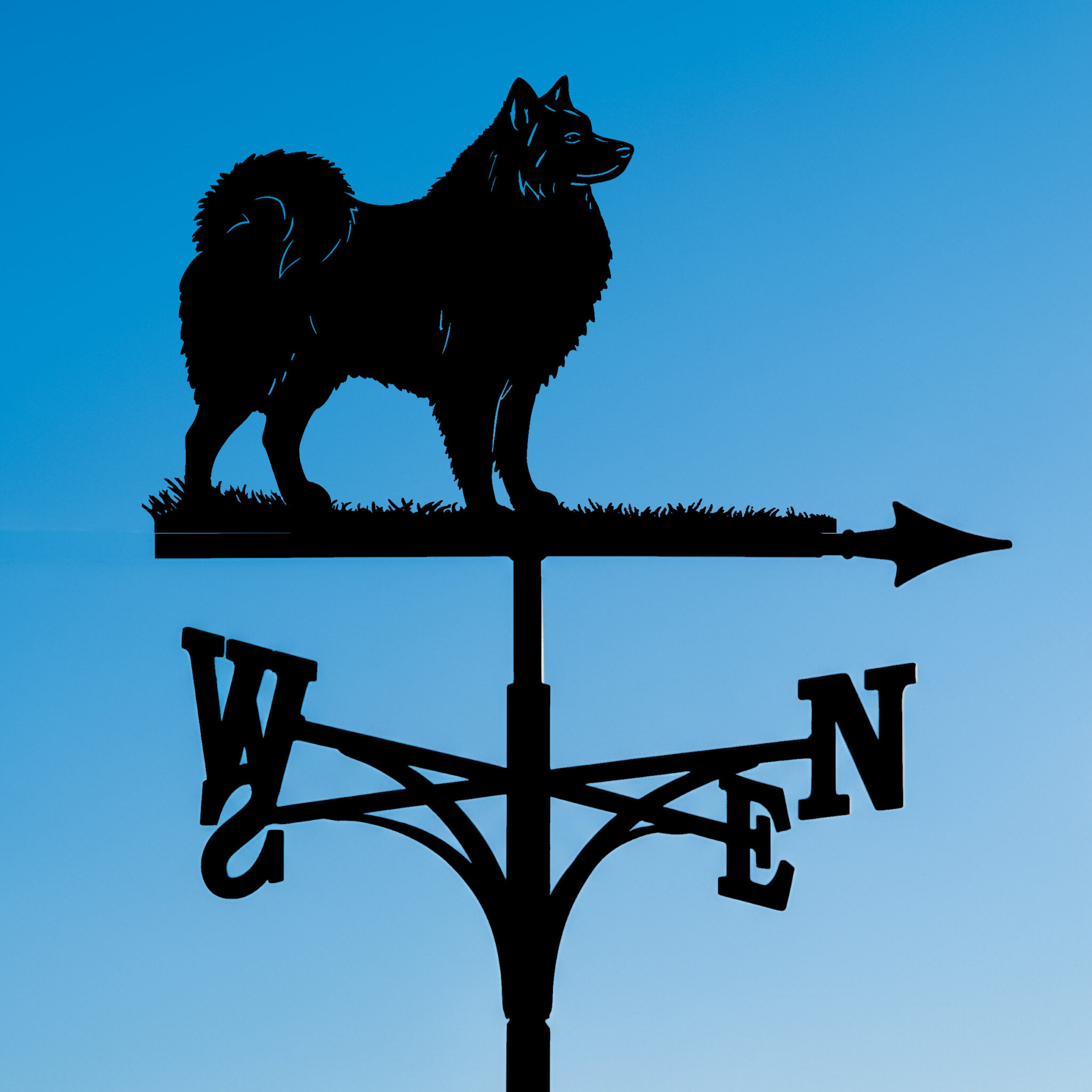Spitz Dog Weathervane Blue Sky
